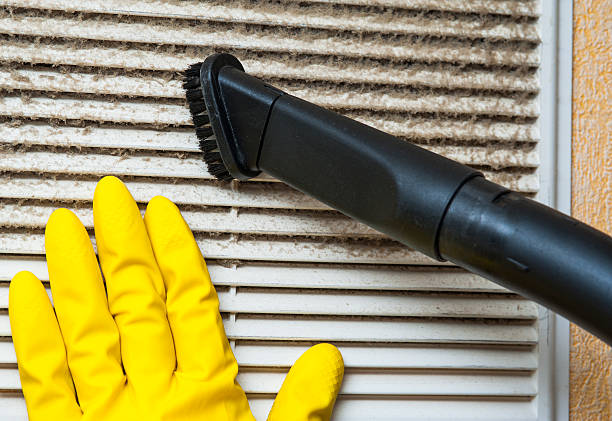 Best Professional Duct Cleaning Services  in Robesonia, PA